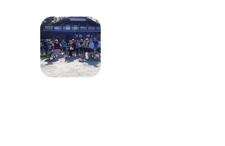 elem1